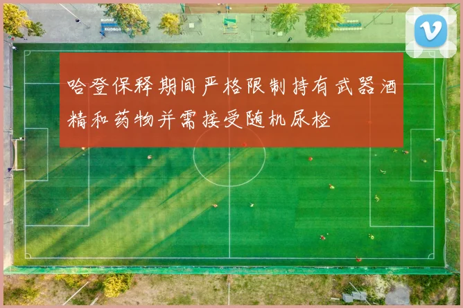 哈登保释期间严格限制持有武器酒精和药物并需接受随机尿检