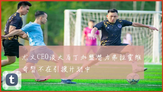 尤文CEO谈大马丁加盟潜力弗拉霍维奇暂不在引援计划中