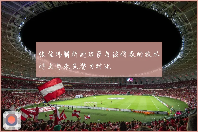 张佳玮解析迪班萨与彼得森的技术特点与未来潜力对比